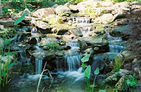 American Aquascapes & Water Gardening - Photo 8 - Car repair in Graham, NC, Burlington