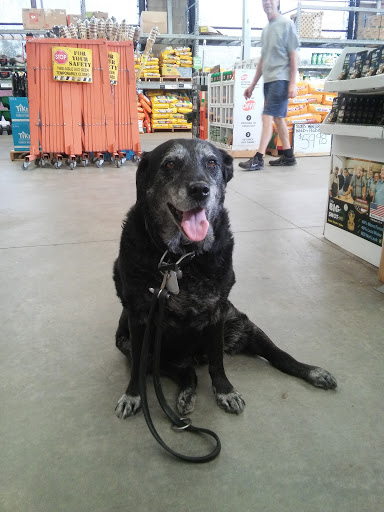 Home Improvement Store «The Home Depot», reviews and photos, 16420 Washington St, Thornton, CO 80023, USA