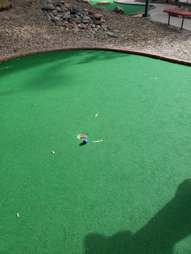 Amusement Park «Funtasticks Family Fun Park», reviews and photos, 221 E Wetmore Rd, Tucson, AZ 85705, USA