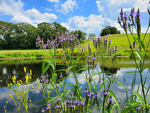 Golf Club «Columbia Golf Club», reviews and photos, 3300 Central Ave NE, Minneapolis, MN 55418, USA