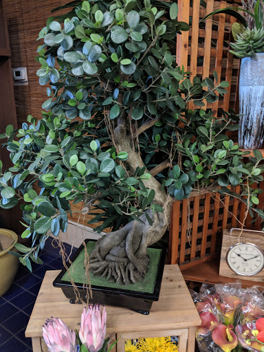 Florist «Flower City Florist», reviews and photos, 917 N Federal Hwy, Fort Lauderdale, FL 33304, USA