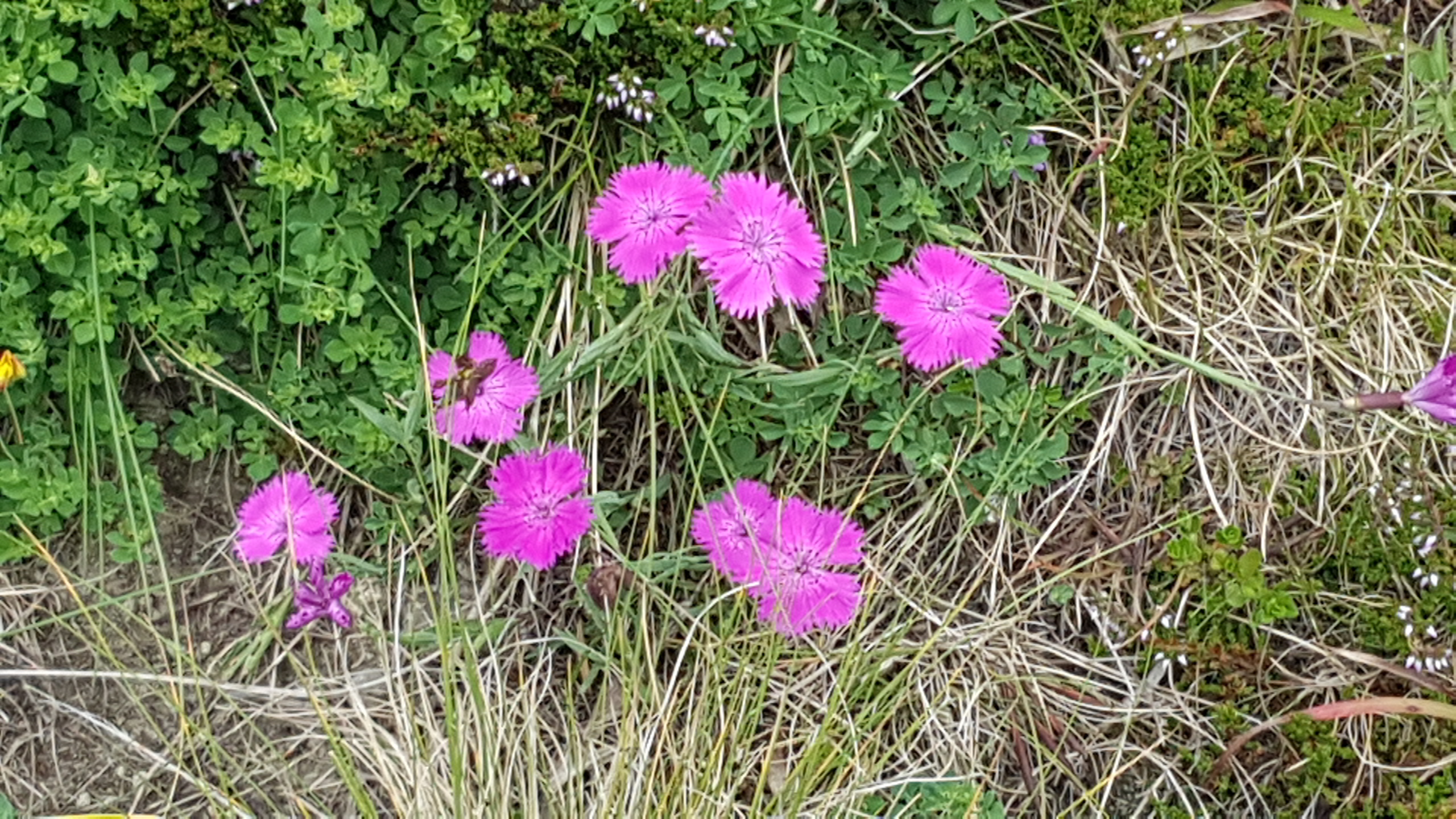 Photo n° 20 de l'avis de Catherine.R fait le 09/08/2019 à 17:54