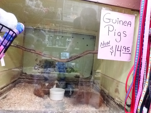 Pet Store «Pettin Place», reviews and photos, 1121 S Wells Ave, Reno, NV 89502, USA