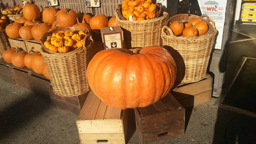 Grocery Store «ShopRite of Newburgh», reviews and photos, 88 N Plank Rd #1, Newburgh, NY 12550, USA