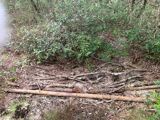 Nature Preserve «Gator Creek Reserve», reviews and photos, 9725 US Hwy 98 N, Lakeland, FL 33809, USA