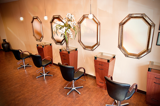 D'Alessandro Salon 10504