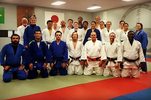 American Judo and Jiu-Jitsu Academy image