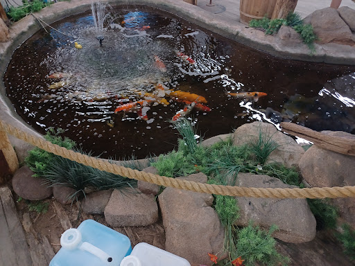 Tropical Fish Store «The Ocean Floor», reviews and photos, 2347 W Thomas Rd, Phoenix, AZ 85015, USA