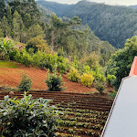 Photo n°4 de l'avis de Lukas.e fait le 28/11/2021 à 20:58 sur le  Quinta do Frizado à Prazeres