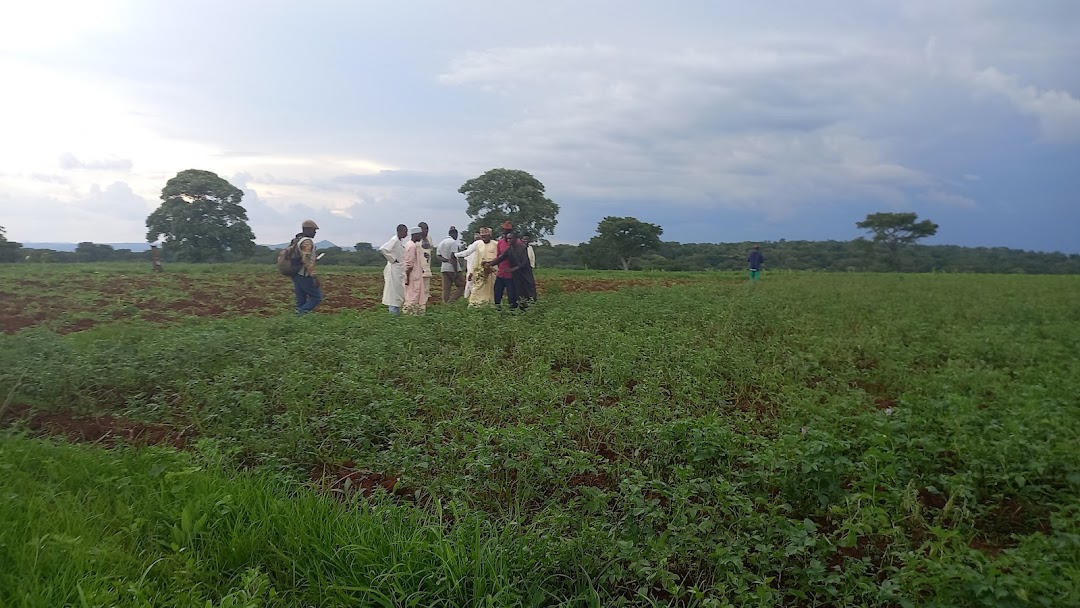 Ngaoundéré, Kamerun
