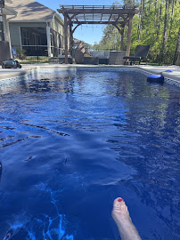 Black Dog Pools, Myrtle Beach SC