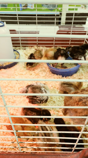Pet Store «Salisbury Super Pet», reviews and photos, 329 Civic Ave, Salisbury, MD 21804, USA