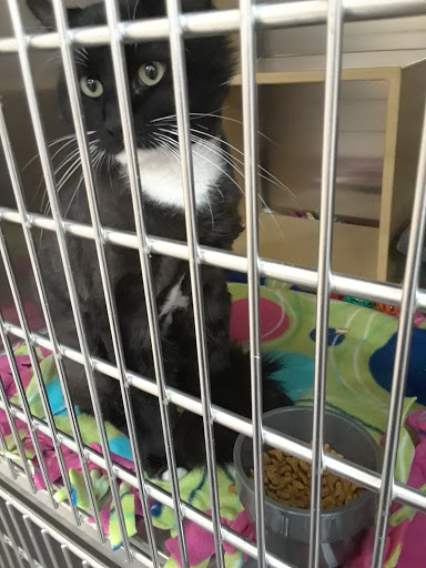 Pet Supply Store «PetSmart», reviews and photos, 13000 Aurora Ave N, Seattle, WA 98133, USA