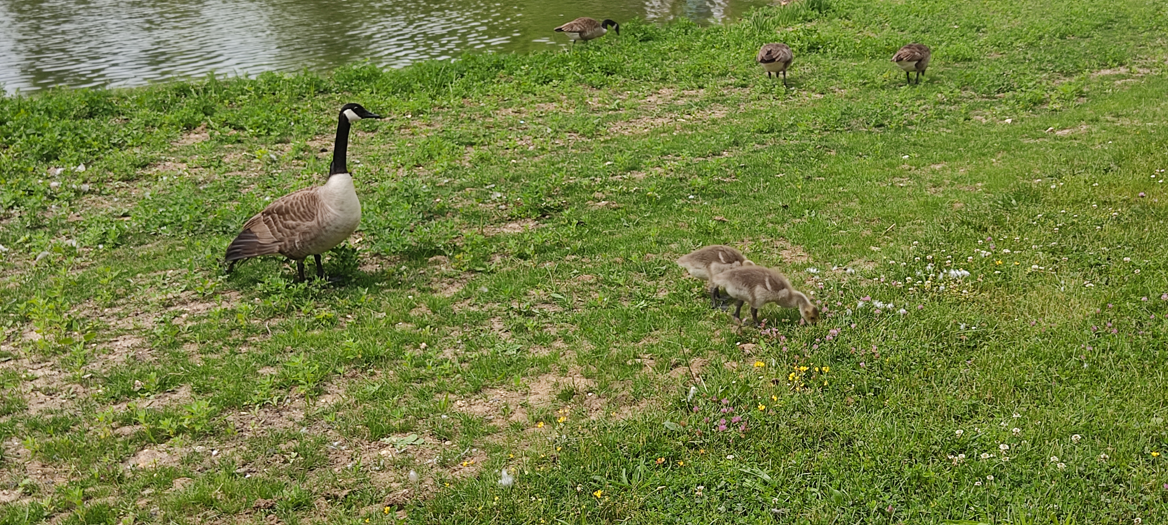 Photo n° 18 de l'avis de Thomas.O fait le 26/05/2022 à 14:48