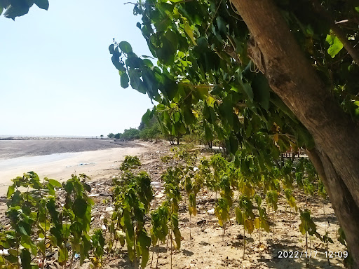 Top 20 cửa hàng play Huyện Cần Giờ Hồ Chí Minh 2022