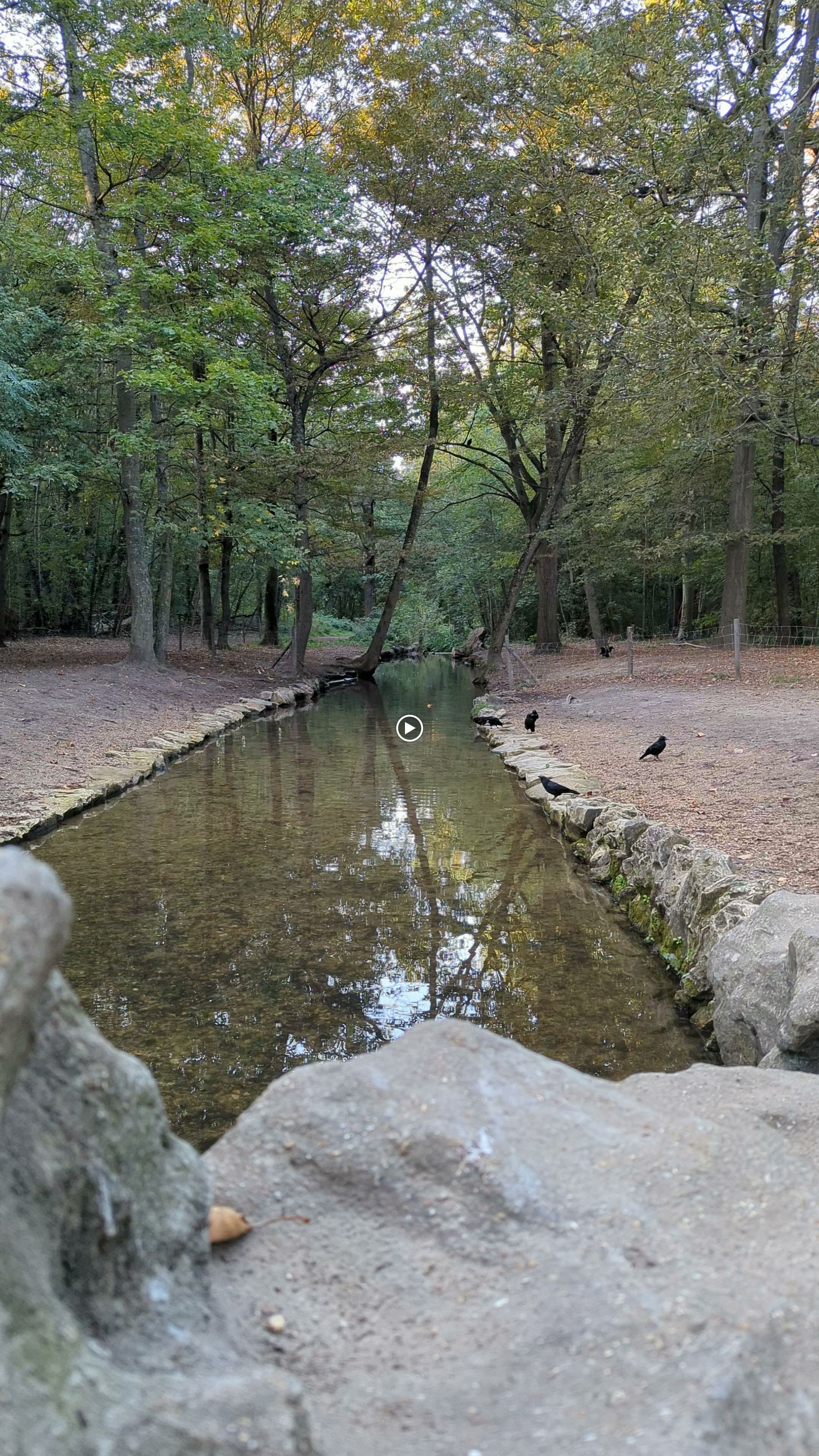 Photo n° 1 de l'avis de Alessandro.t fait le 09/03/2024 à 01:48