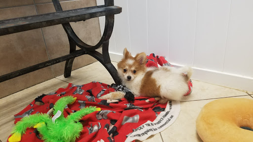 Pet Supply Store «Lil Rascals», reviews and photos, 10035 Gulf Center Dr #105, Fort Myers, FL 33913, USA