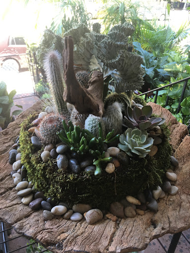 Wholesale Florist «Urban Jungle», reviews and photos, 2603 Sherman Ave NW, Washington, DC 20001, USA