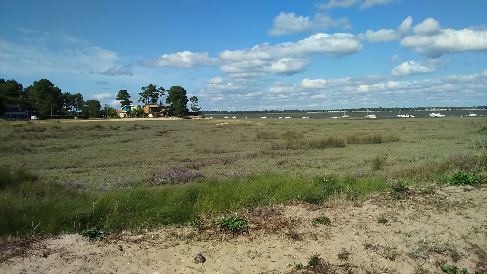 Photo de Bertic Beach et le règlement
