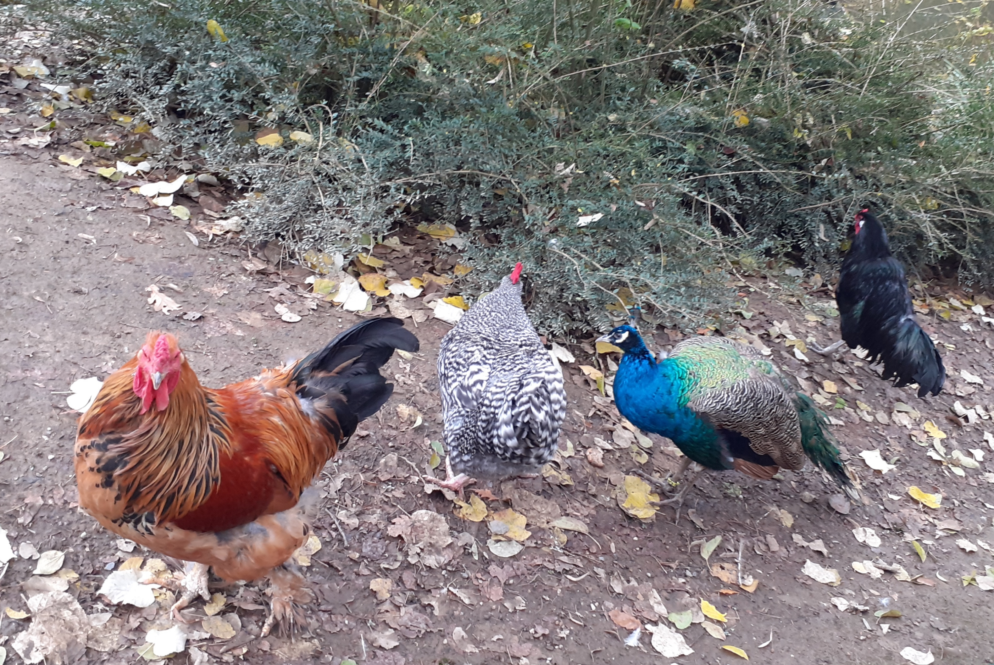 Photo n° 18 de l'avis de Doume. fait le 13/12/2019 à 18:34