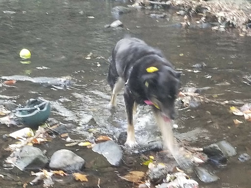 Park «Glenfield», reviews and photos, Bloomfield Ave & Maple Ave, Montclair, NJ 07042, USA