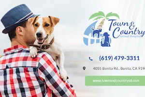 Town & Country Animal Hospital image