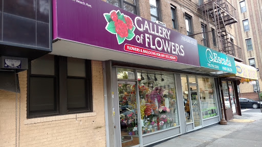 Florist «Gallery of Flowers Ny Corporation», reviews and photos, 1151 Brighton Beach Ave, Brooklyn, NY 11235, USA