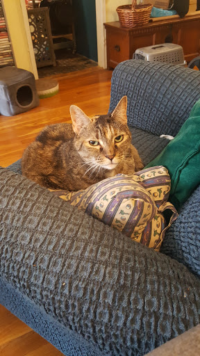 380 Port Washington Blvd, Port Washington, NY 11050, USA