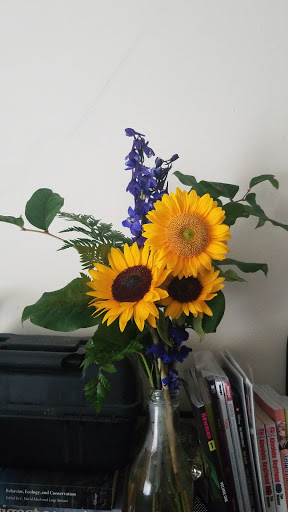 Florist «Adrian Durban Florist», reviews and photos, 3401 Clifton Ave, Cincinnati, OH 45220, USA