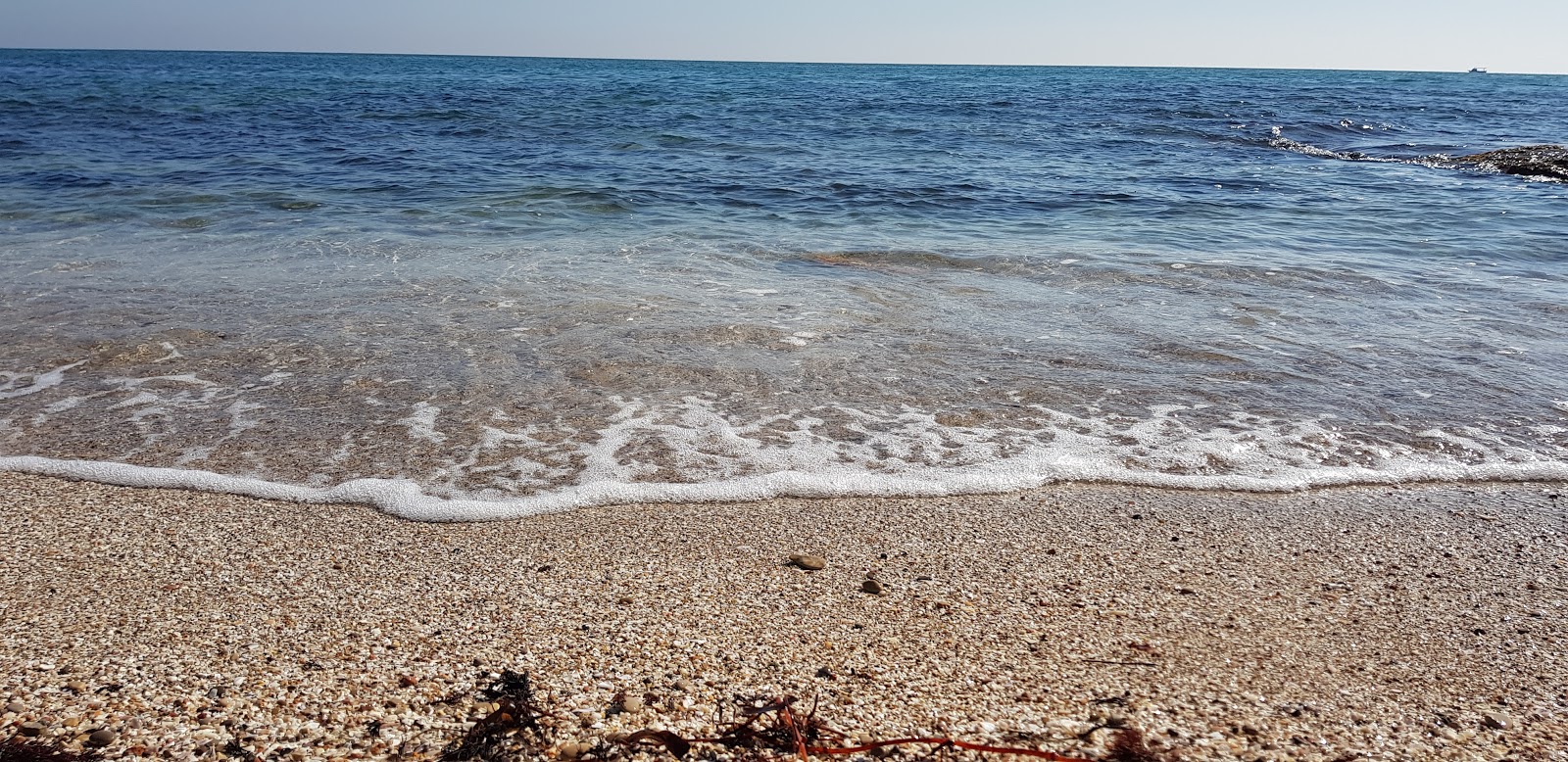 Cala l'Arjub的照片 带有微海湾
