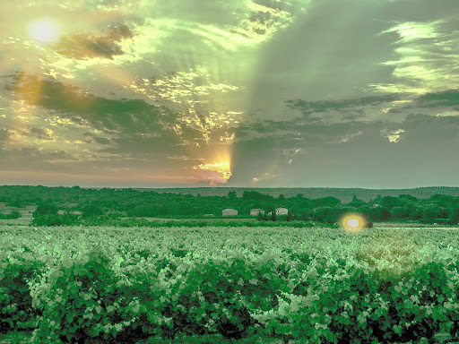 Photo 6 - Déchèterie de Ribaute-les-Tavernes