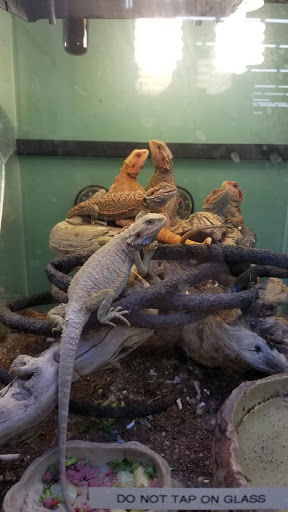 Pet Supply Store «Pet Club Emeryville», reviews and photos, 3535 Hollis St, Oakland, CA 94608, USA