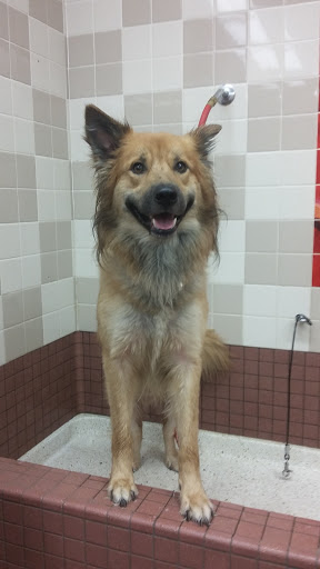 Pet Supply Store «Pet Food Express», reviews and photos, 2158 Contra Costa Blvd, Pleasant Hill, CA 94523, USA