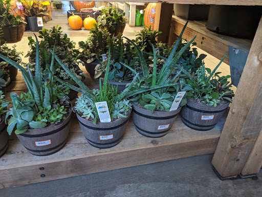 Garden Center at The Home Depot