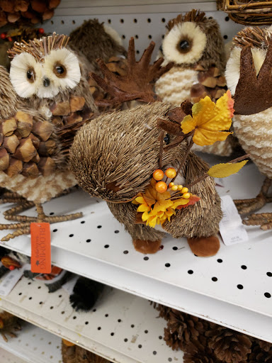 Fabric Store «Jo-Ann Fabrics and Crafts», reviews and photos, 352 S College Rd #24, Wilmington, NC 28403, USA