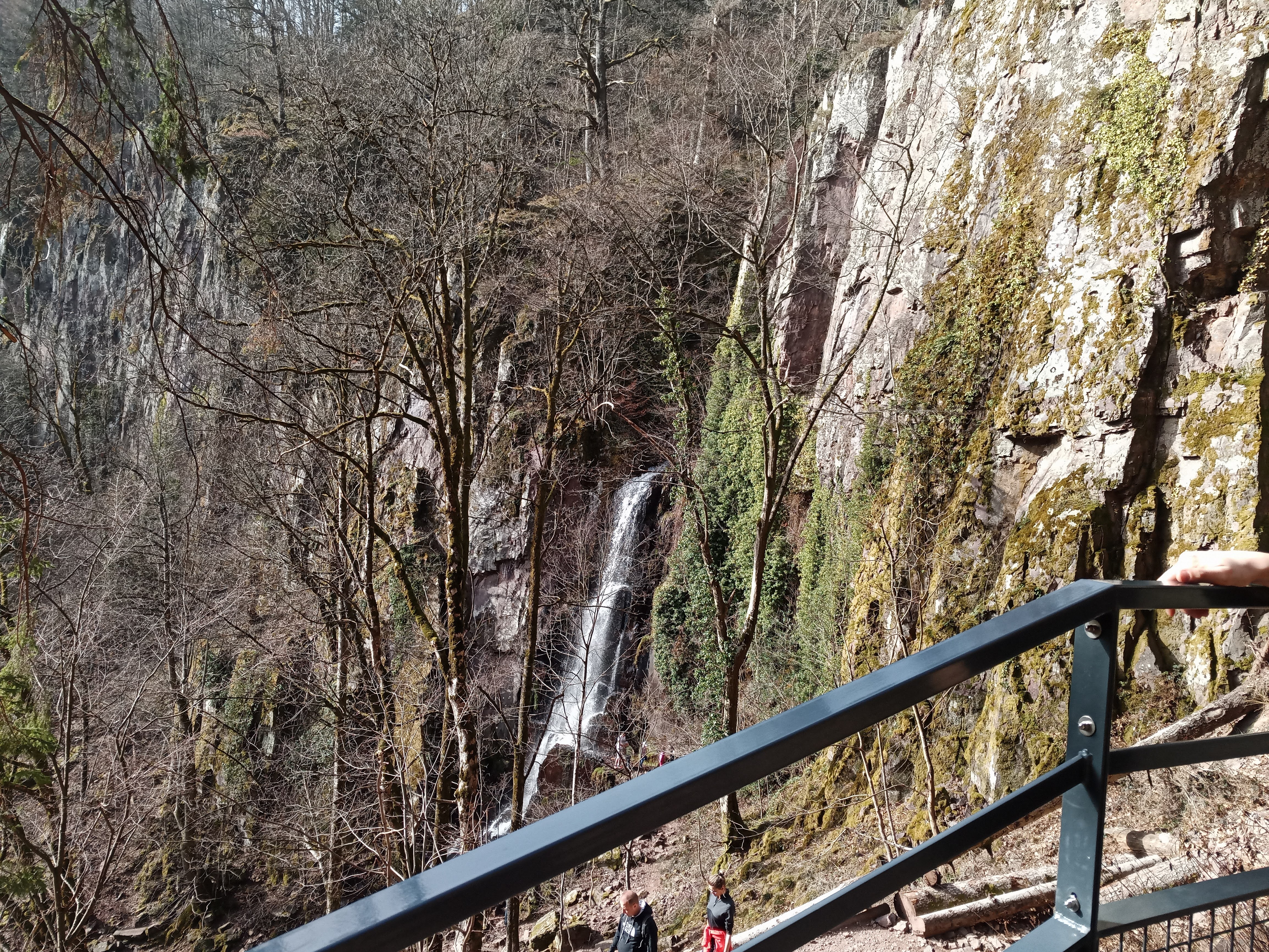 Photo n° 2 de l'avis de Regis.l fait le 26/02/2021 à 16:05