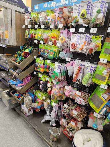 Pet Supply Store «Petco Animal Supplies», reviews and photos, 921 Harley Strickland Blvd, Orange City, FL 32763, USA