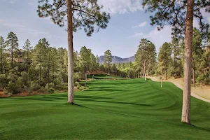 The Golf Club at Chaparral Pines image