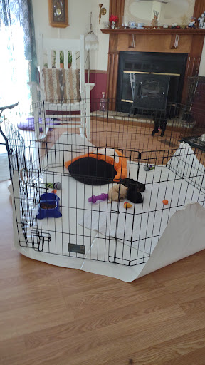 Pet Supply Store «Pet Supplies Plus», reviews and photos, 803 Hillcrest Rd, Mobile, AL 36695, USA