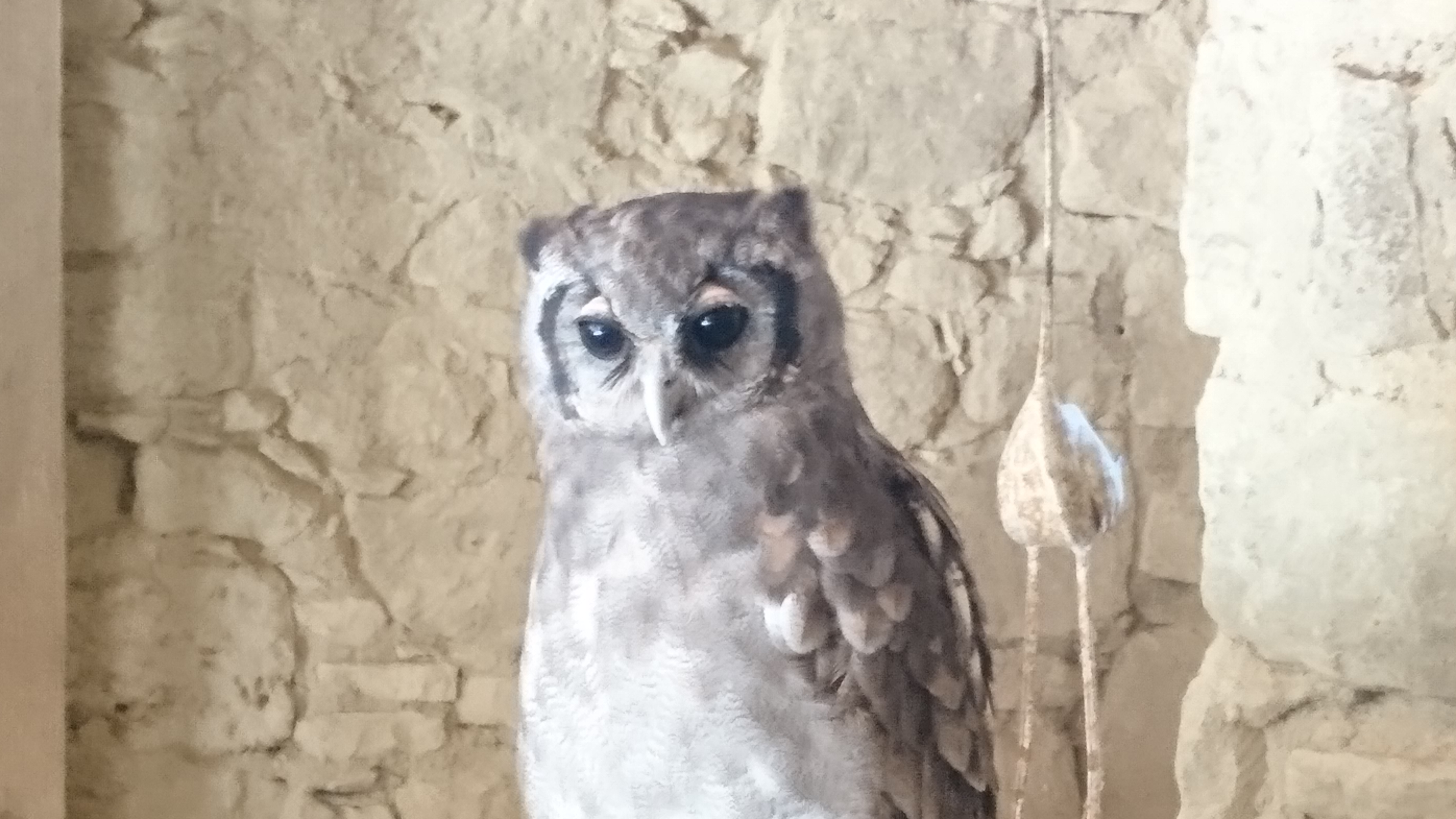 Photo n° 3 de l'avis de Eric.. fait le 12/08/2018 à 16:07