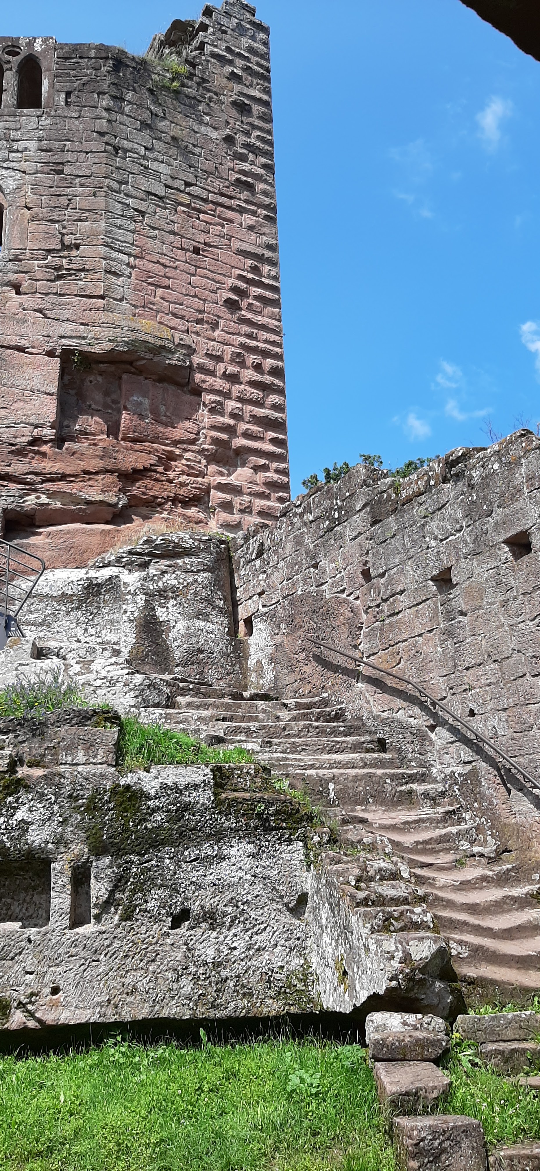 Photo n° 6 de l'avis de Carlos.a fait le 18/07/2021 à 16:13