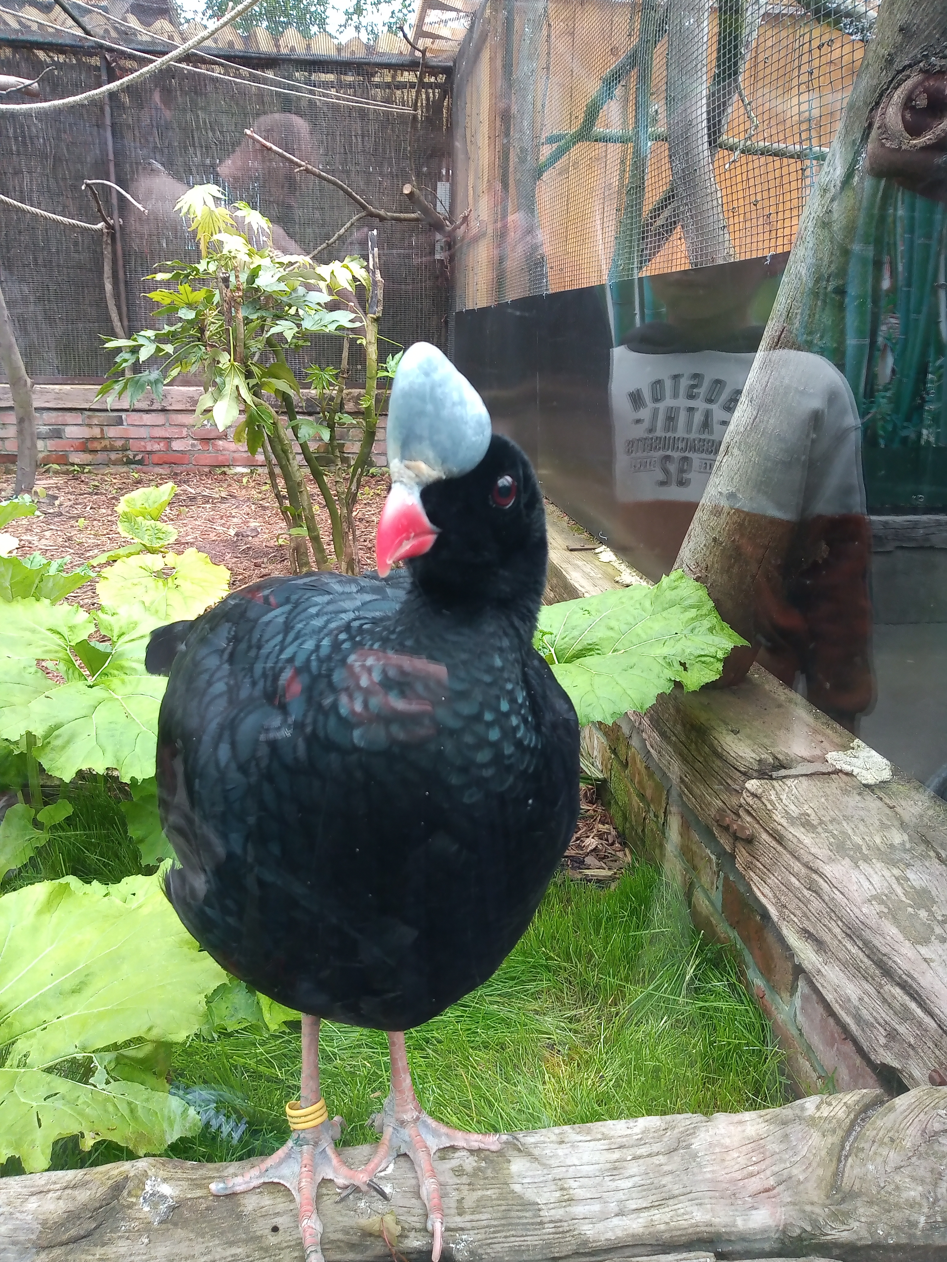 Photo n° 3 de l'avis de Guilo.H fait le 07/05/2023 à 20:22