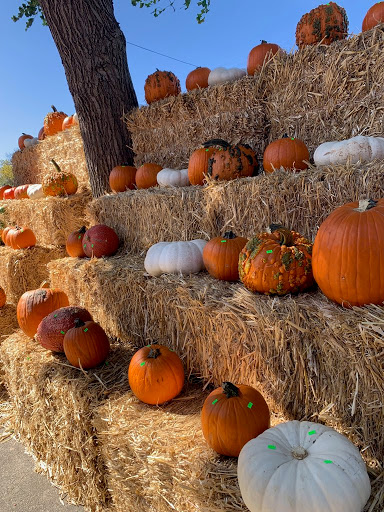 Produce Market «Pedrick Produce», reviews and photos, 6850 Sievers Rd, Dixon, CA 95620, USA