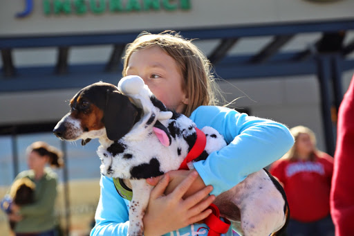 Pet Supply Store «Long Dog Fat Cat», reviews and photos, 16909 Burke St #126, Omaha, NE 68118, USA