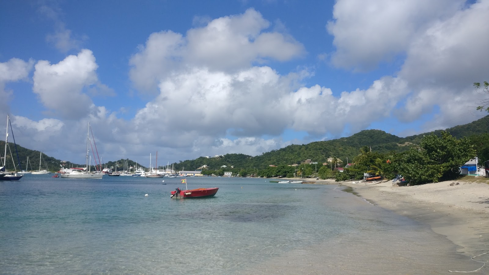 Fotografija Tyrell Bay beach z dolga ravna obala