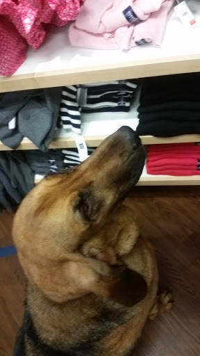 Clothing Store «Gap Outlet», reviews and photos, 55 Bay St, Long Beach, CA 90802, USA