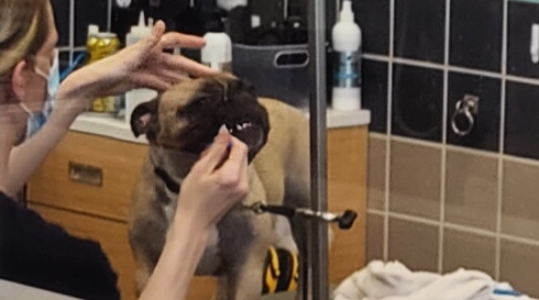 Pet Supply Store «Petco Animal Supplies», reviews and photos, 2001 15th Ave W b, Seattle, WA 98119, USA