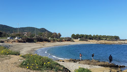 Porto Corallino Beach'in fotoğrafı küçük koy ile birlikte