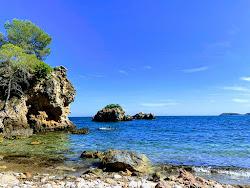 Photo de Platja Cap des Gegant avec un niveau de propreté de très propre