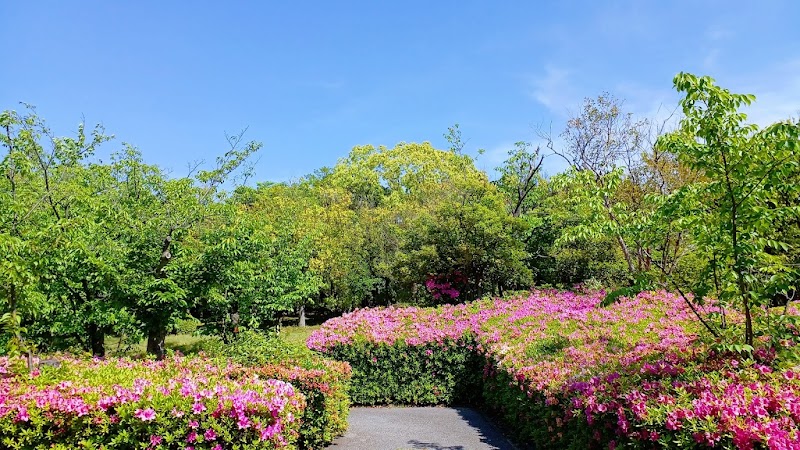 東浜公園